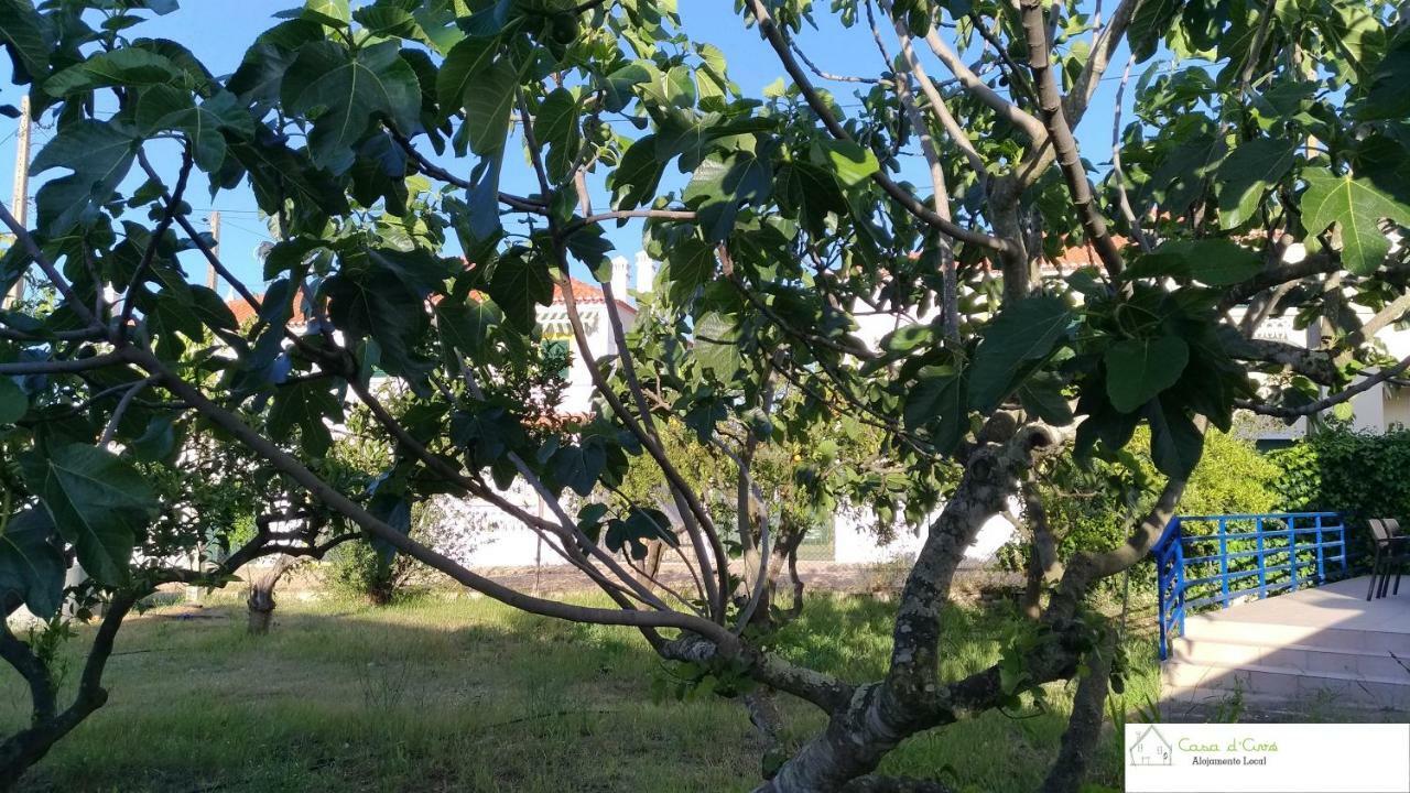 דירות אלטורה Casa D'Avo מראה חיצוני תמונה